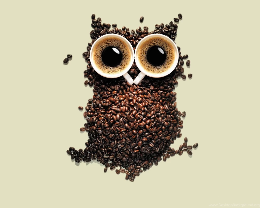 Coffee Owl