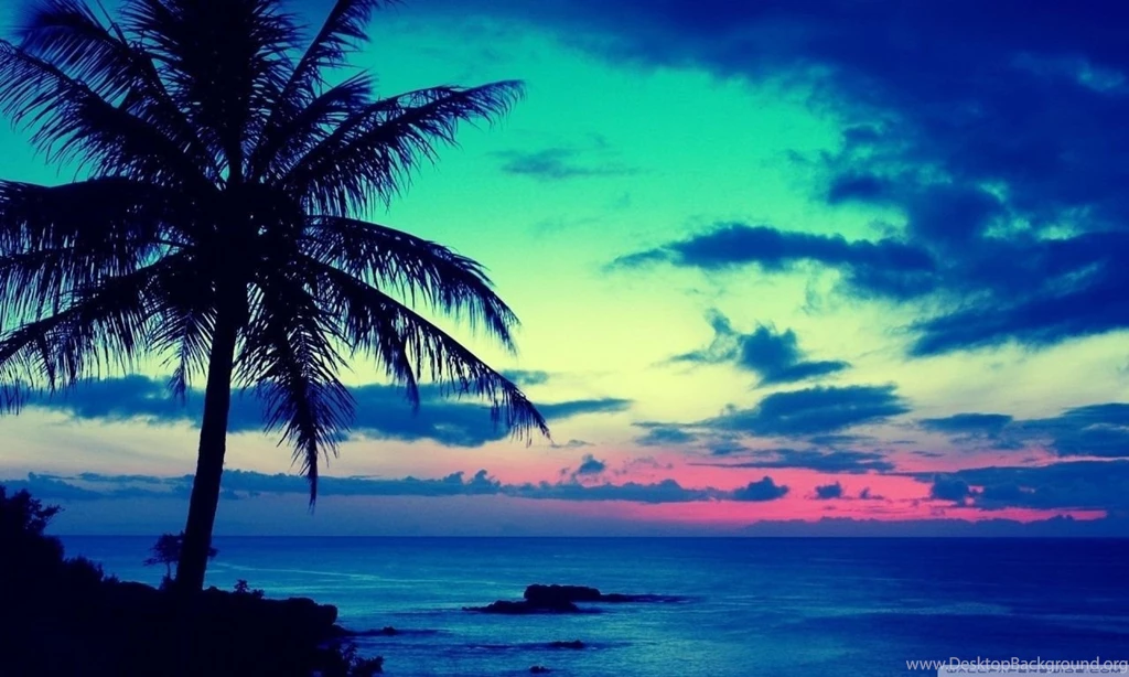 Tropical Sunrise HD Desktop Wallpapers : High Definition ...