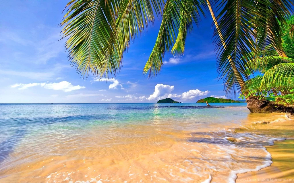 Tropical Wallpapers