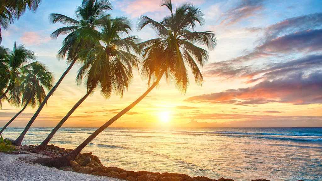 Tropical Wallpapers
