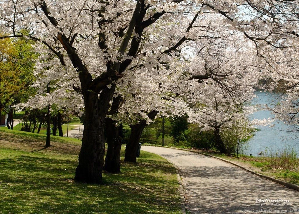 Spring Nature Wallpapers High Resolution (8) Pleasantwalls.com ...