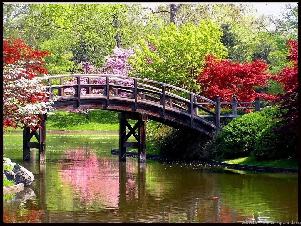 Spring Nature Pictures Wallpapers High Definition