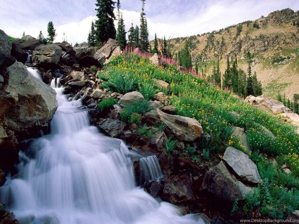 Spring Nature Place Wallpapers Spring Nature Wallpapers