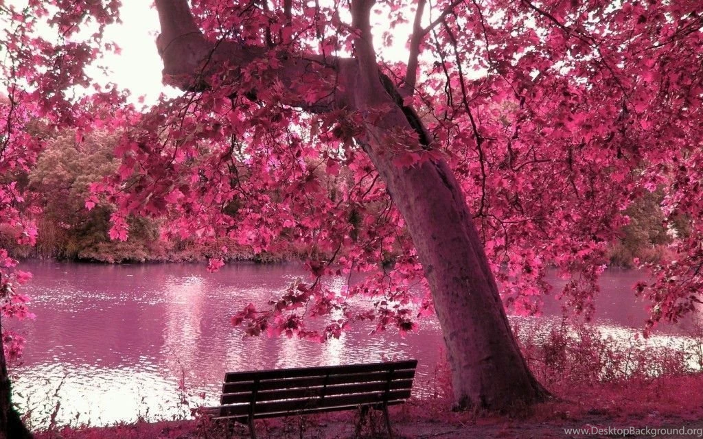 Spring Nature Wallpapers High Resolution (11) Pleasantwalls.com ...