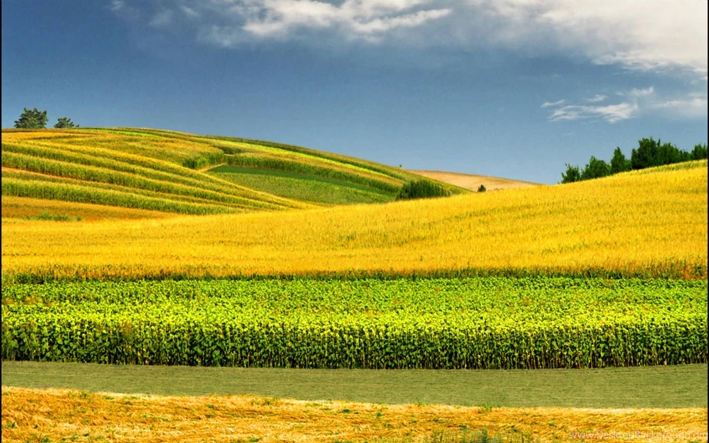 Gallery For Desktop Wallpapers Spring Nature