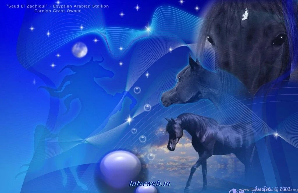 34101d1256815213 computer wallpaper horse 1024x768.jpg