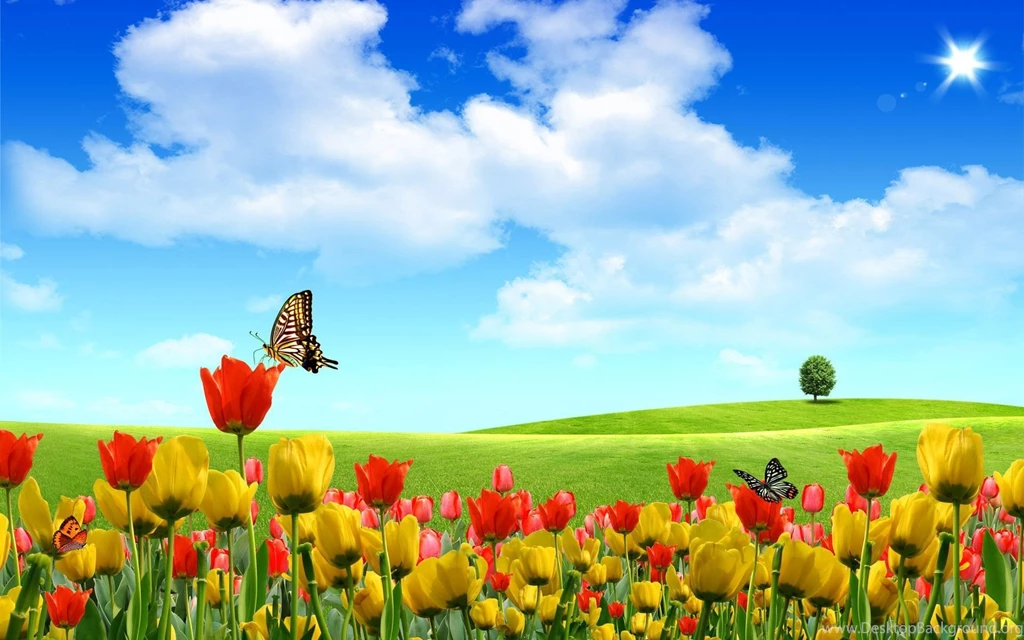 Computer Wallpapers 367 HD Wallpapers