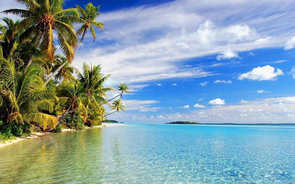 Tropical Beach Backgrounds