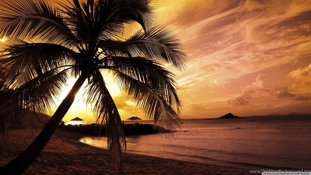 Tropical Beach Sunset HD Desktop Wallpapers : Widescreen : High ...