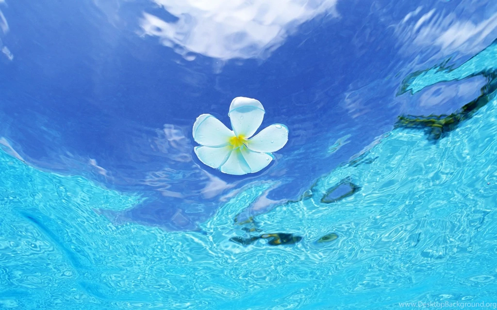 Gallery For Beach Water Wallpapers