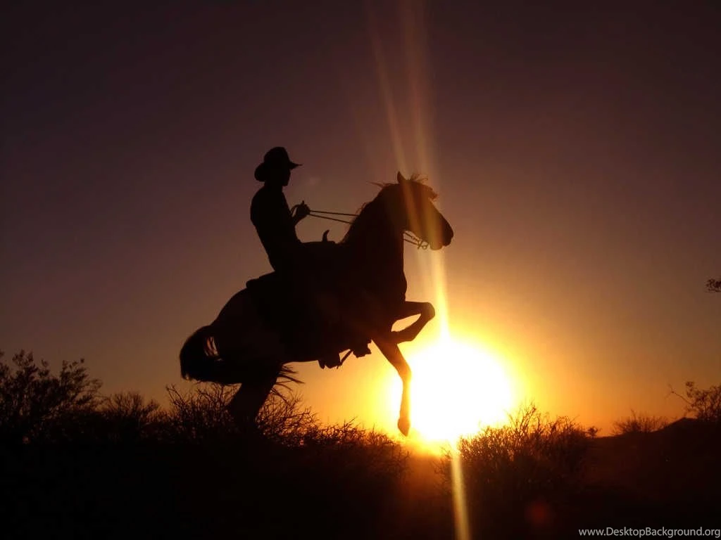 Gallery For Cowboys Horses Wallpapers