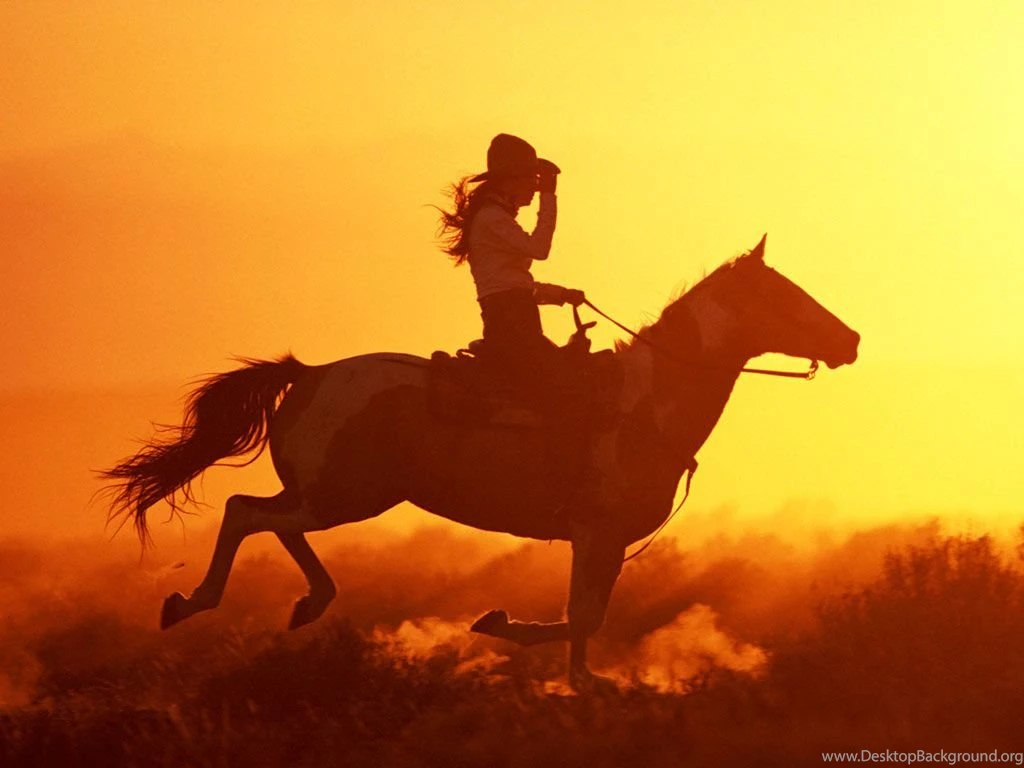 Gallery For   Cowboy On Horse Wallpapers