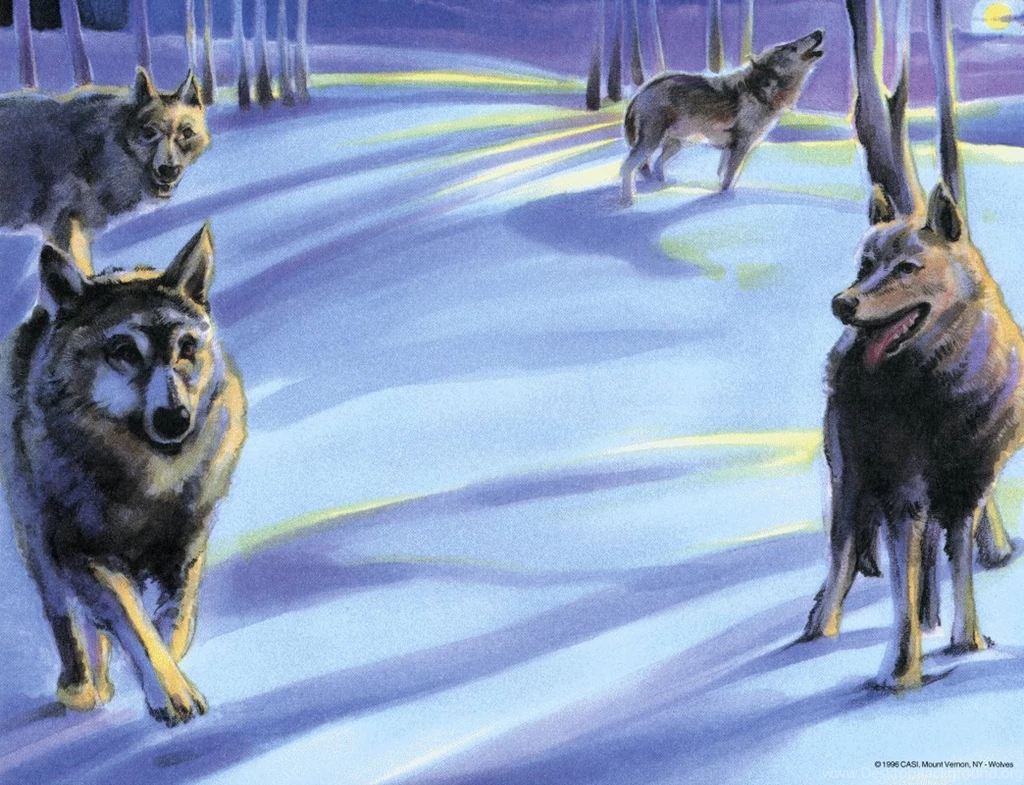 Wolves Backgrounds