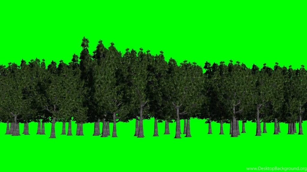 Forest Green Screen Backgrounds Green And Blue Free Green ...
