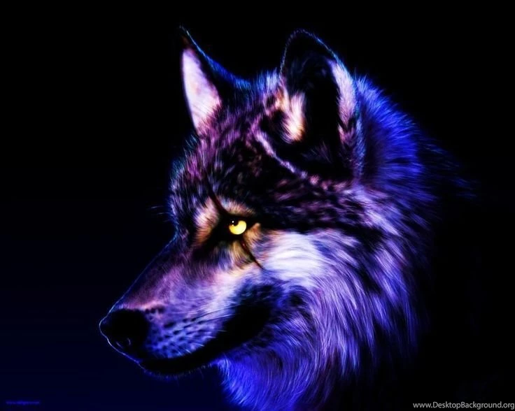 Cool Purple Wolves