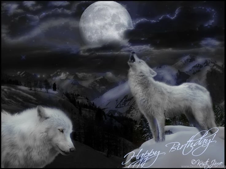 Moonlight Wolves Desktop Backgrounds Wallpapers Free