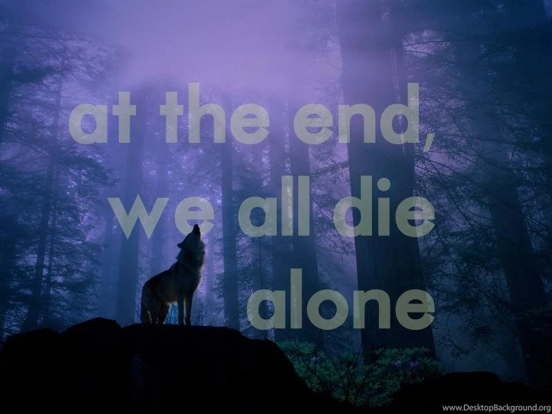 The Forest For The Wolves Desktop Wallpapers Pictures The Forest ...