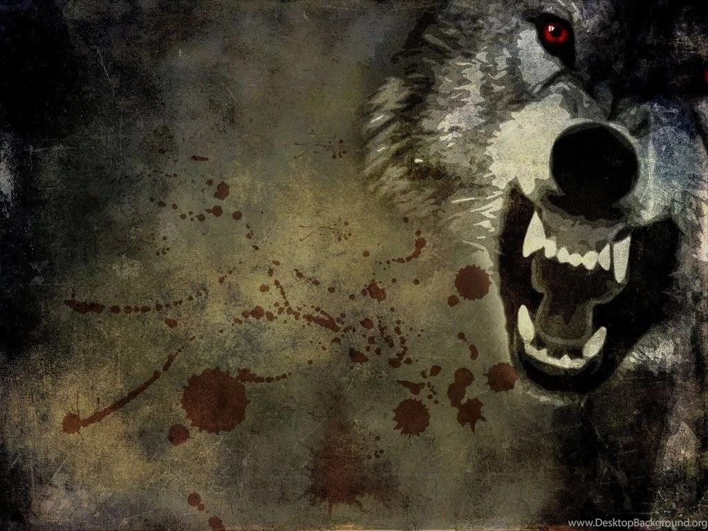 Gallery For Angry Wolves Wallpapers