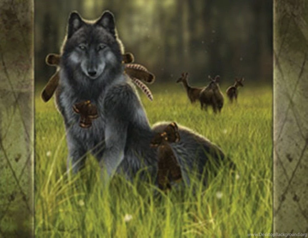 Dogs Hiding Hunt Mode Howl Wolf Wolves Wallpapers Gallery ~ Dogs ...