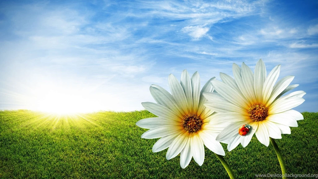 Gallery For Download Beautiful Landscape Wallpapers