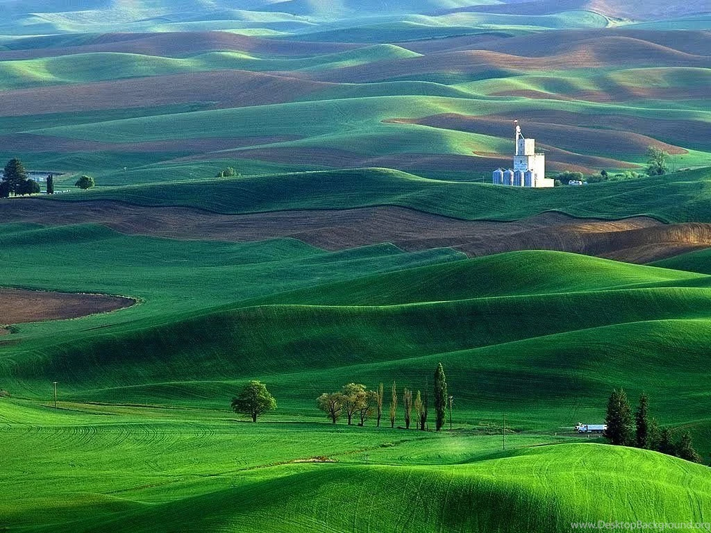 Gallery For   Beautiful Green Landscape Wallpapers