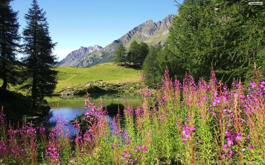 Wallpapers Beautiful Landscape Scenery Rose Valley Countryside ...
