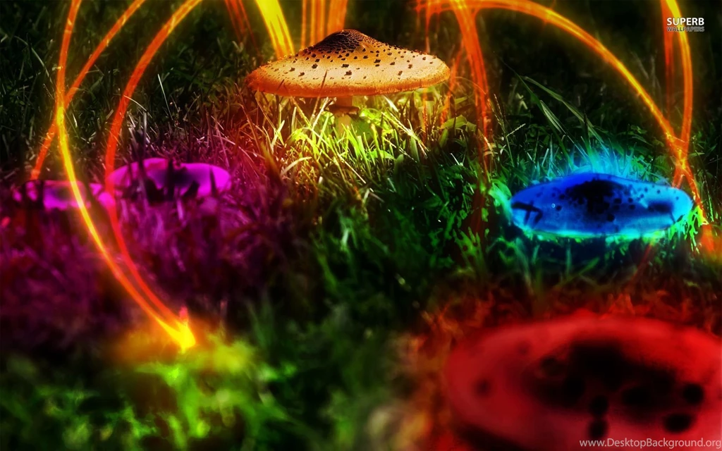 Colorful Mushrooms Wallpapers Digital Art Wallpapers