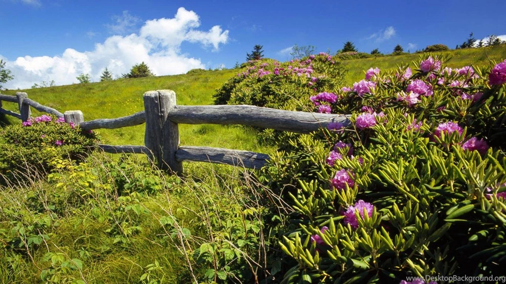 Gallery For Beautiful Spring Landscape Wallpapers