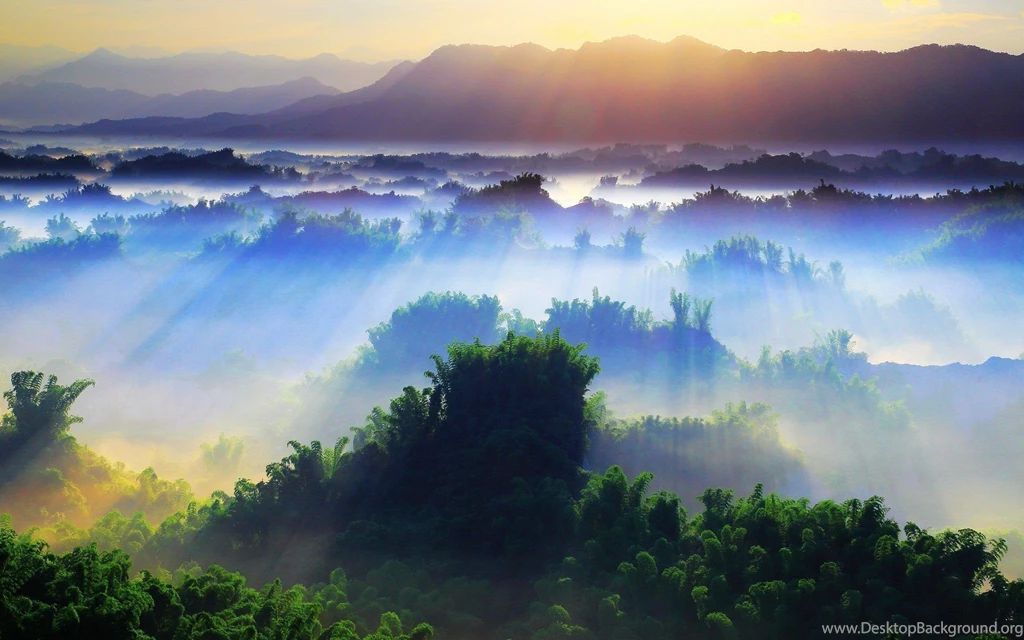 Beautiful Nature Green Landscape Wallpapers HD Download