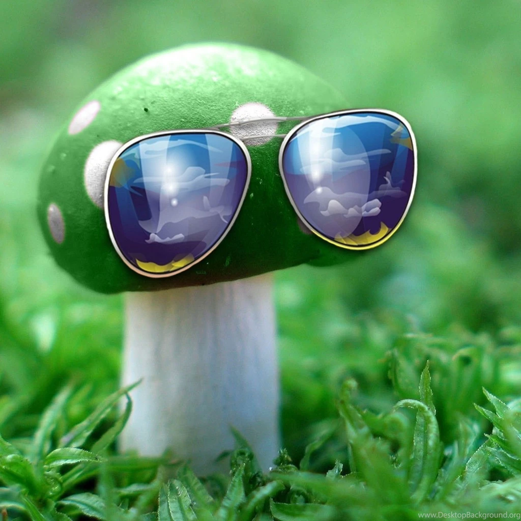 Page 3: New iPad Air, 4, 3, iPad Mini Retina Mushroom Wallpapers ...