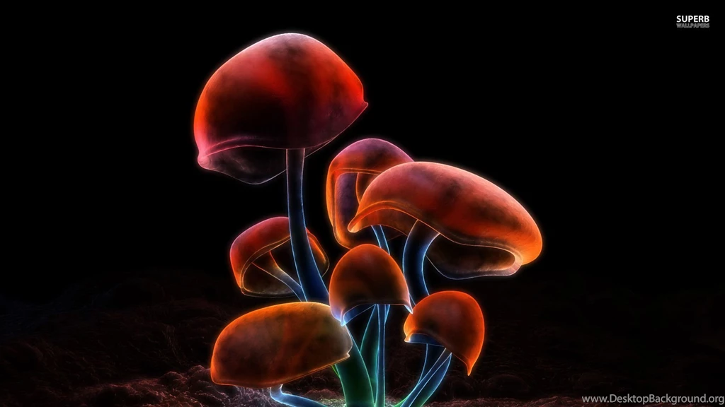 Mushrooms Wallpapers   Digital Art Wallpapers