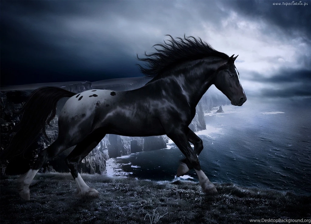 Gallery For Dark Horse Wallpapers