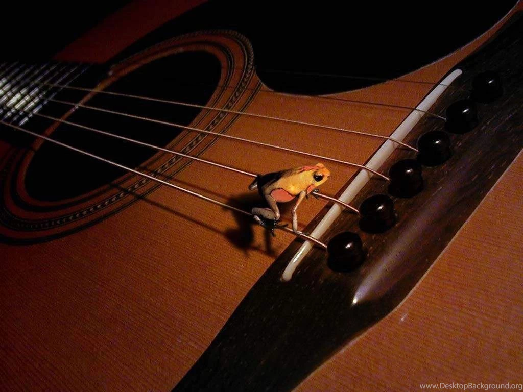 Gibson Guitar Wallpapers Hd Backgrounds   HD Wallpapers