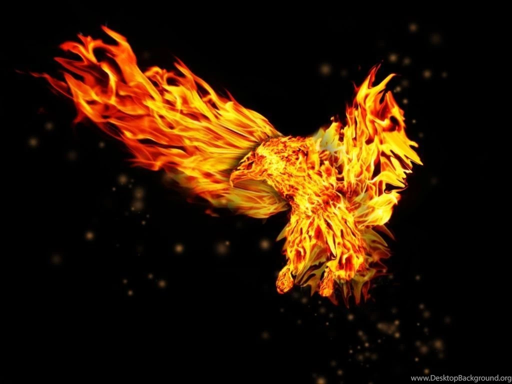 Eagle wallpaper 1092 wallpapers amazing.jpg