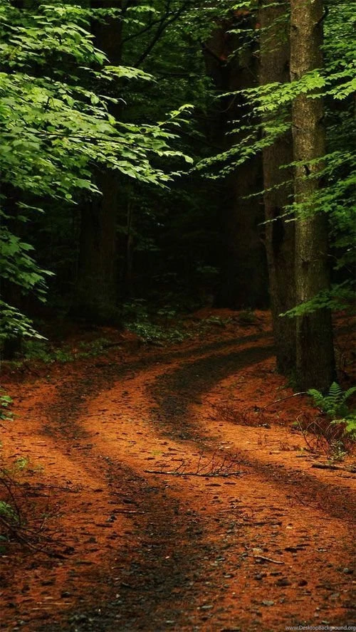 35 Stunning iPhone 5 Wallpapers