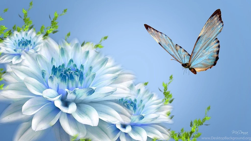 Flower S Wallpapers