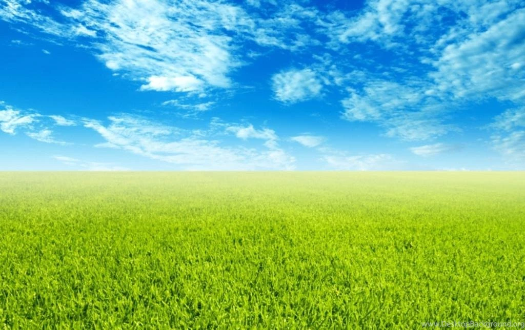 Spring Wallpapers Hd Desktop Backgrounds Flowers Free Desktop