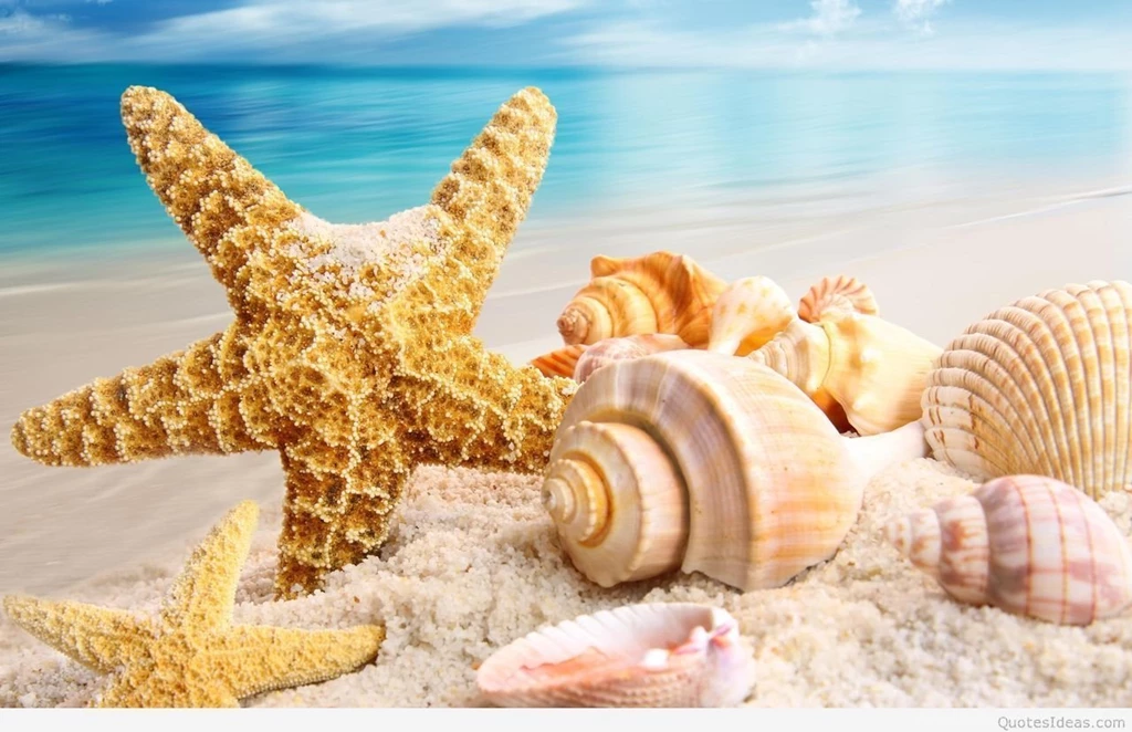 Summer wallpapers HD.jpg
