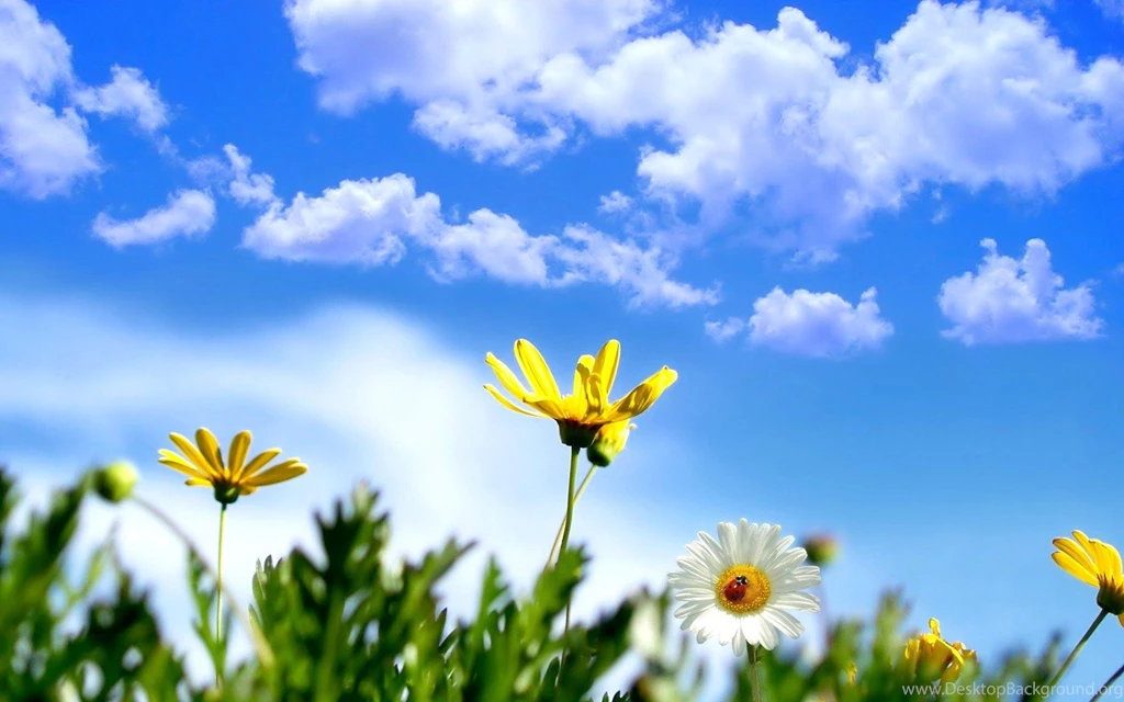 Beautiful Summer 2012 A Beautiful Day Wallpapers Hd Wallpapers ...