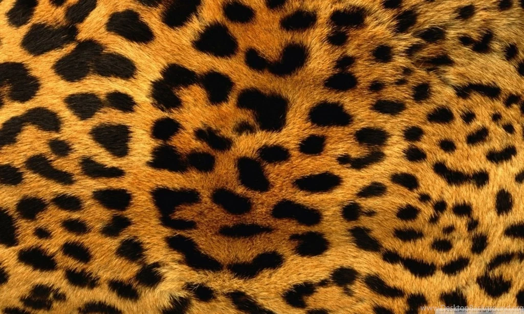 Cheetah Fur HD Desktop Wallpapers : High Definition : Fullscreen ...