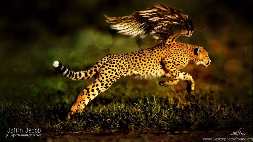 Cheetah Desktop Backgrounds