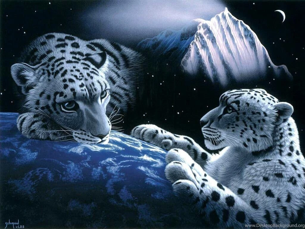 Download Fantasy Cheetah Images Wallpapers 1024x768
