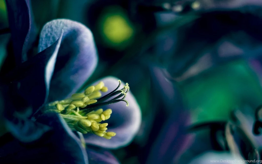 Spring Time Wallpapers