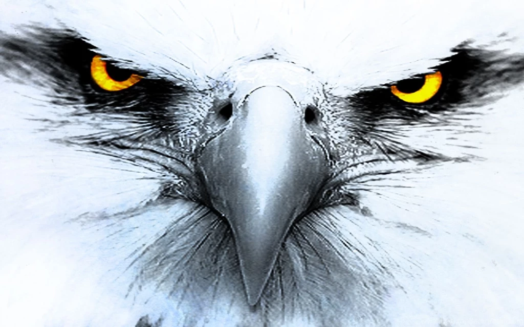 Eagle Computer Wallpapers, Desktop Backgrounds