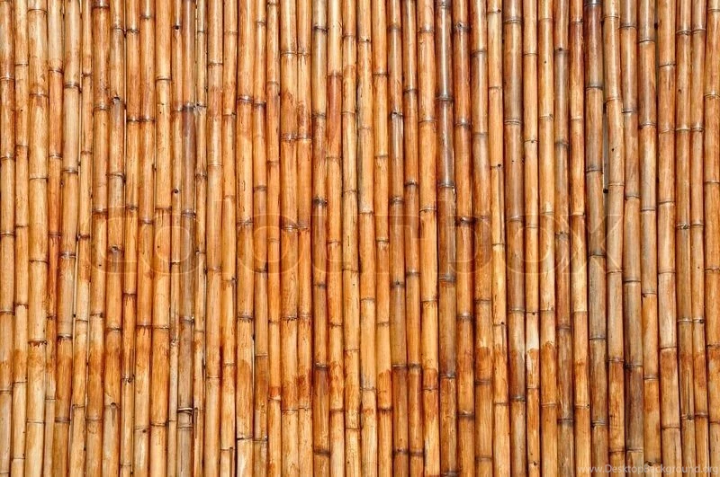Bamboo Backgrounds