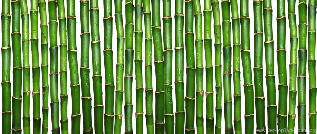 Download Texture: Green Bamboo, Texture Bamboo?, Green Bamboo ...