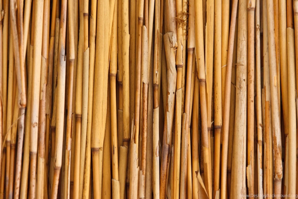 Bamboo Backgrounds Thirteen