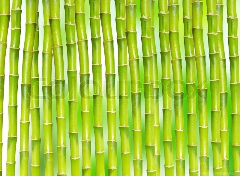 Bamboo Backgrounds
