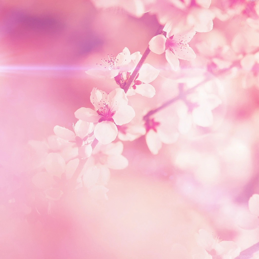 Spring iPad Wallpapers