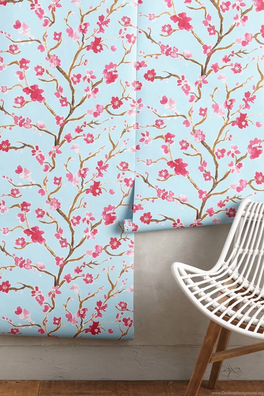 The Beauty Of Cherry Blossom Wallpapers